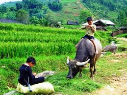 du lich xuyen viet hap dan